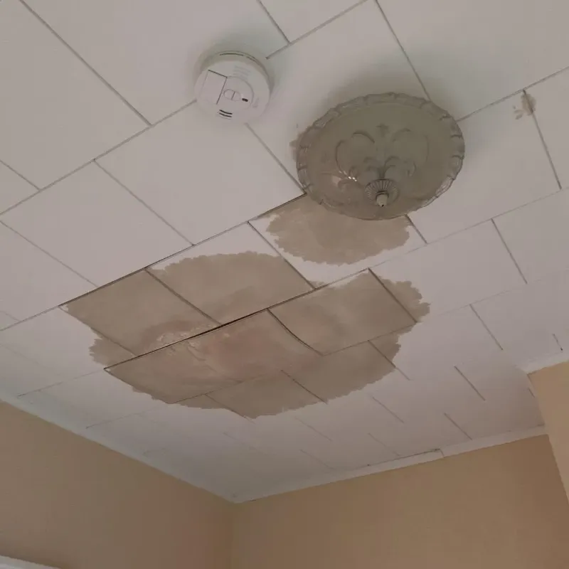 Ceiling Water Damage Repair in New Summerfield, TX
