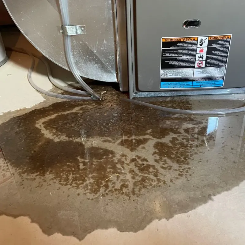 Pipe Burst and Leak Restoration in New Summerfield, TX