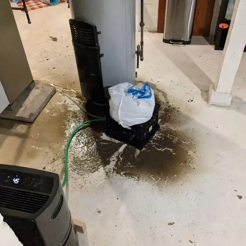 Sewage Backup Cleanup Service in New Summerfield, TX